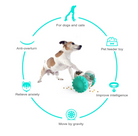 Smart Pet Feeding Toy