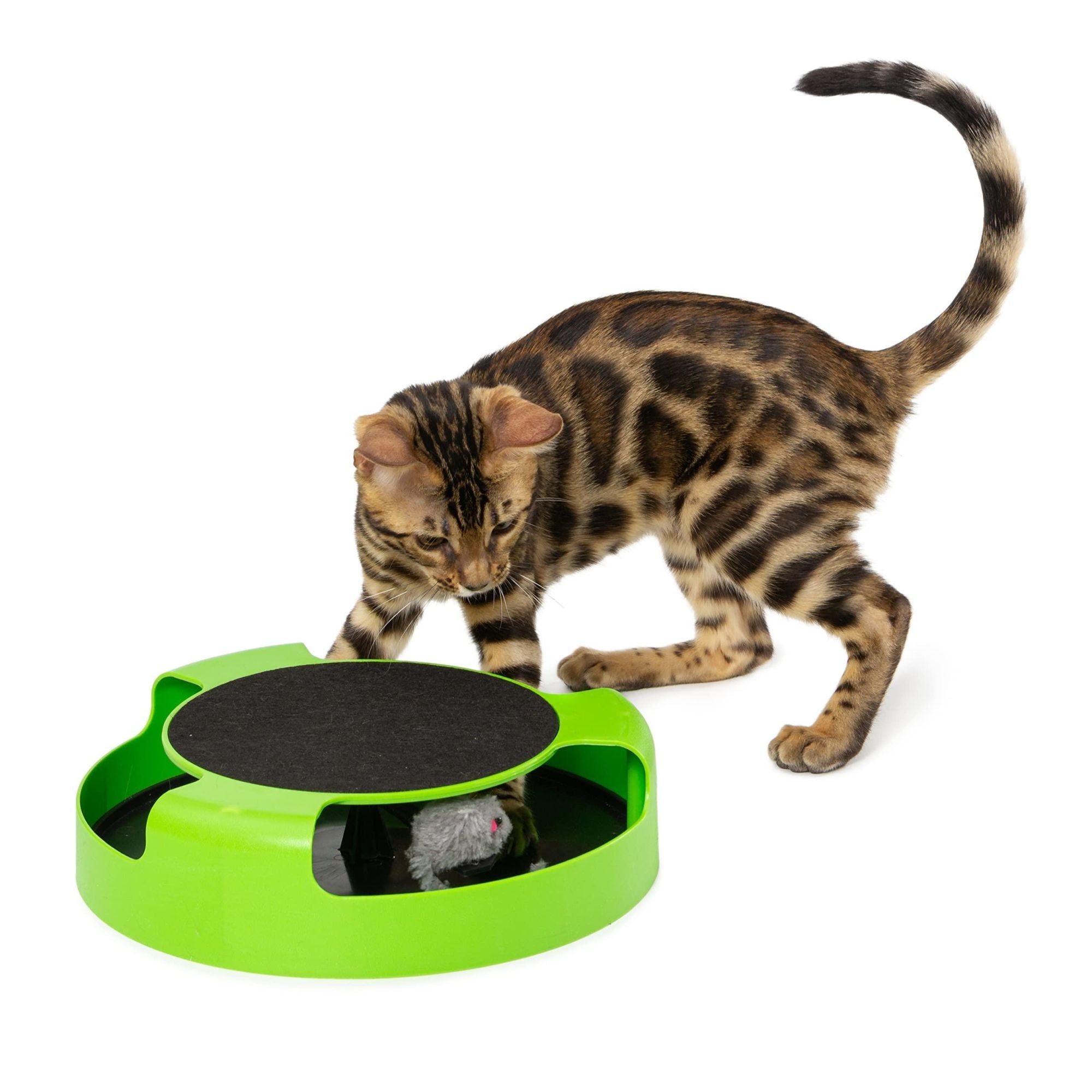 Green SpinPurr Interactive Cat Toy