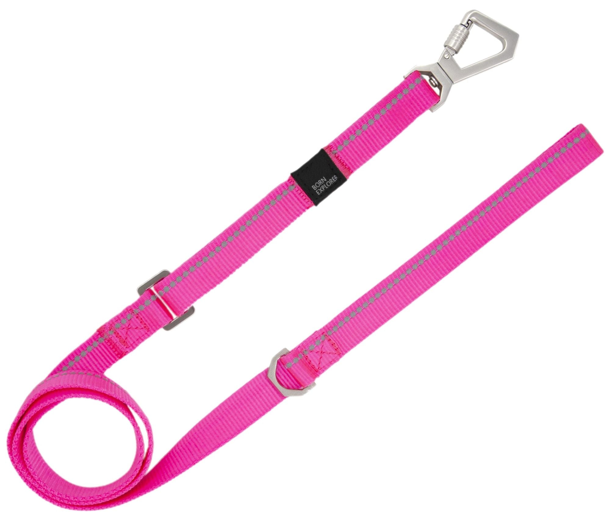 Reflective Martingale Pet Life Leash N Collar