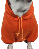 Fashion Plush Cotton Hoodie Pet Sweater