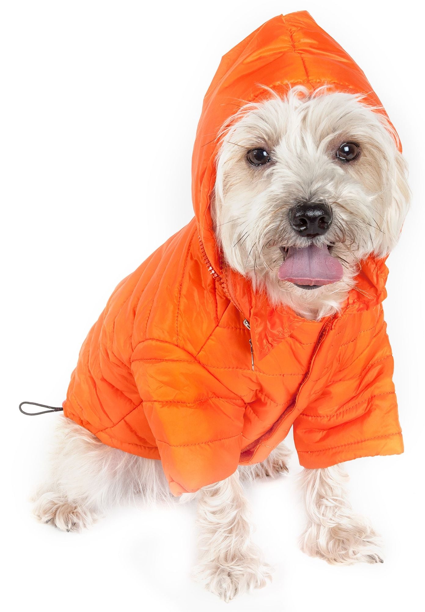 Lightweight Adjustable Sporty Avalanche Pet Coat