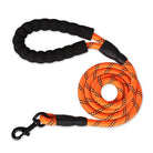 Pet Leash and Reflective Padded Handle