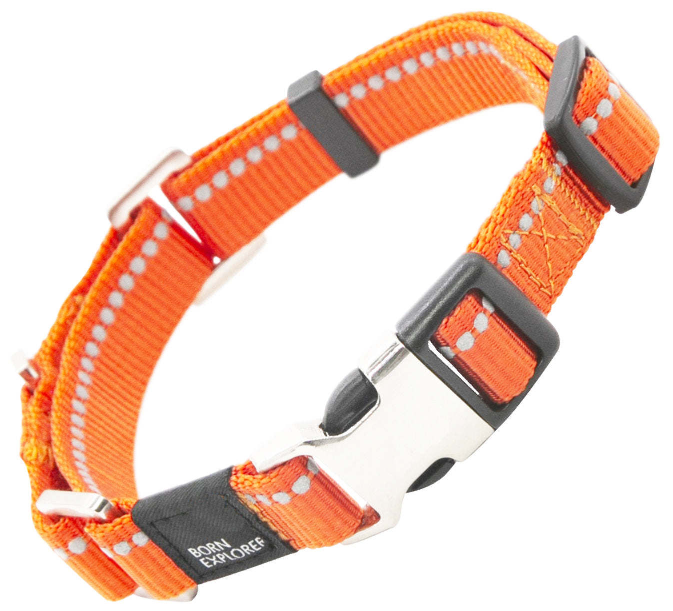 Reflective Martingale Pet Life Leash N Collar