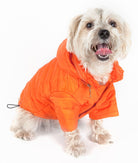 Lightweight Adjustable Sporty Avalanche Pet Coat