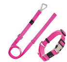 Reflective Martingale Pet Life Leash N Collar