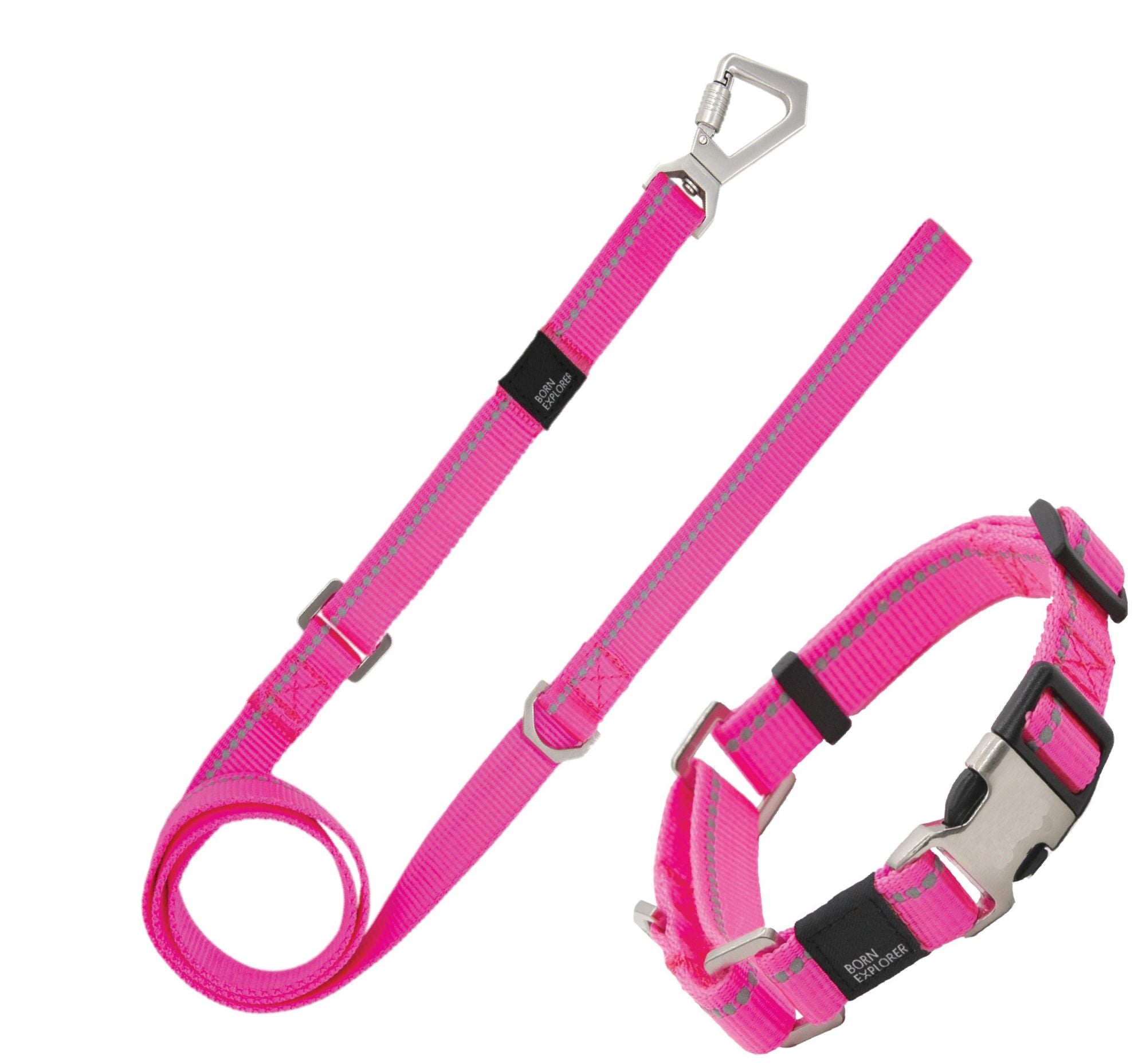 Reflective Martingale Pet Life Leash N Collar