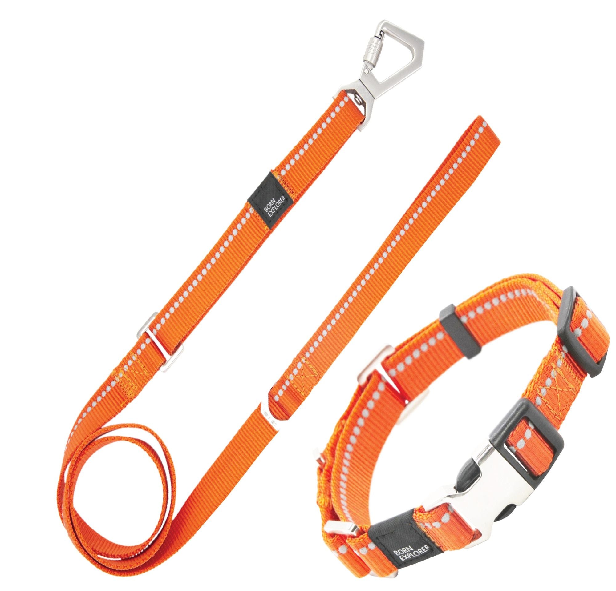 Reflective Martingale Pet Life Leash N Collar