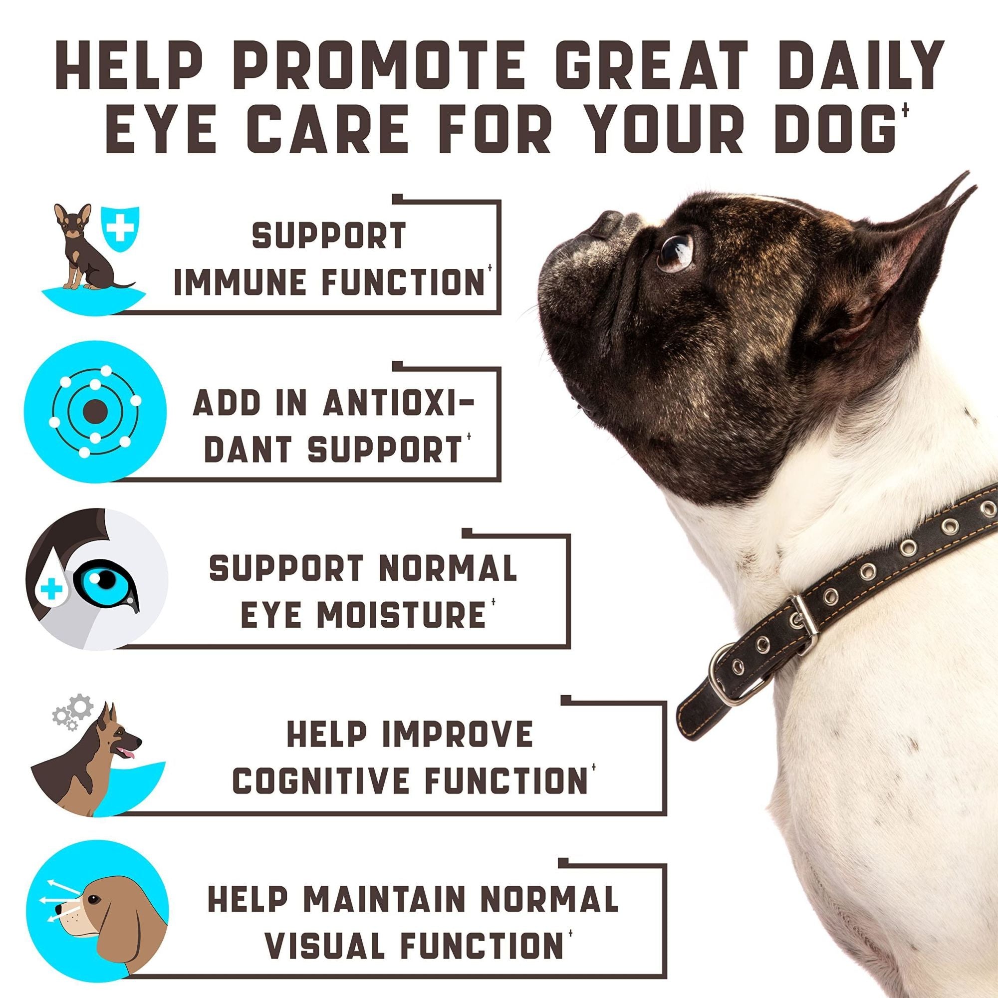 Tear Stains Eye Care supplement for Dog Immune Support