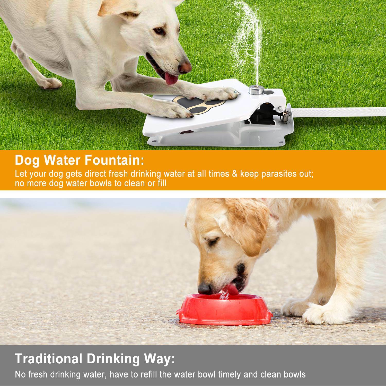 Paw Sprout Step-On Pet Water Fountain