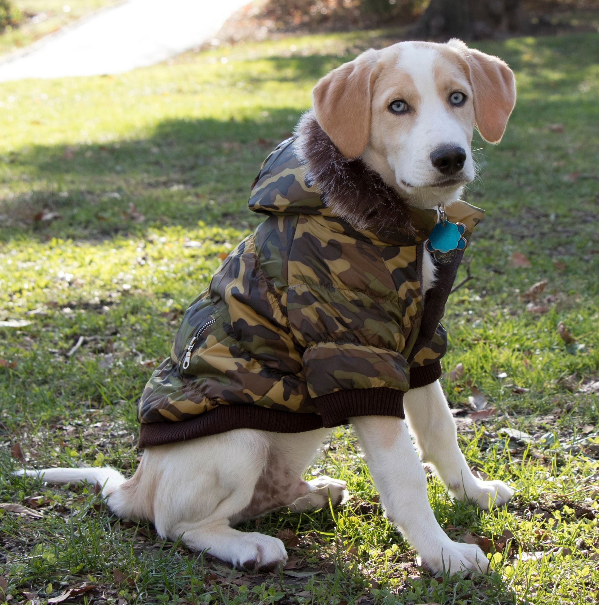 Metallic Fashion Pet Parka Coat 3