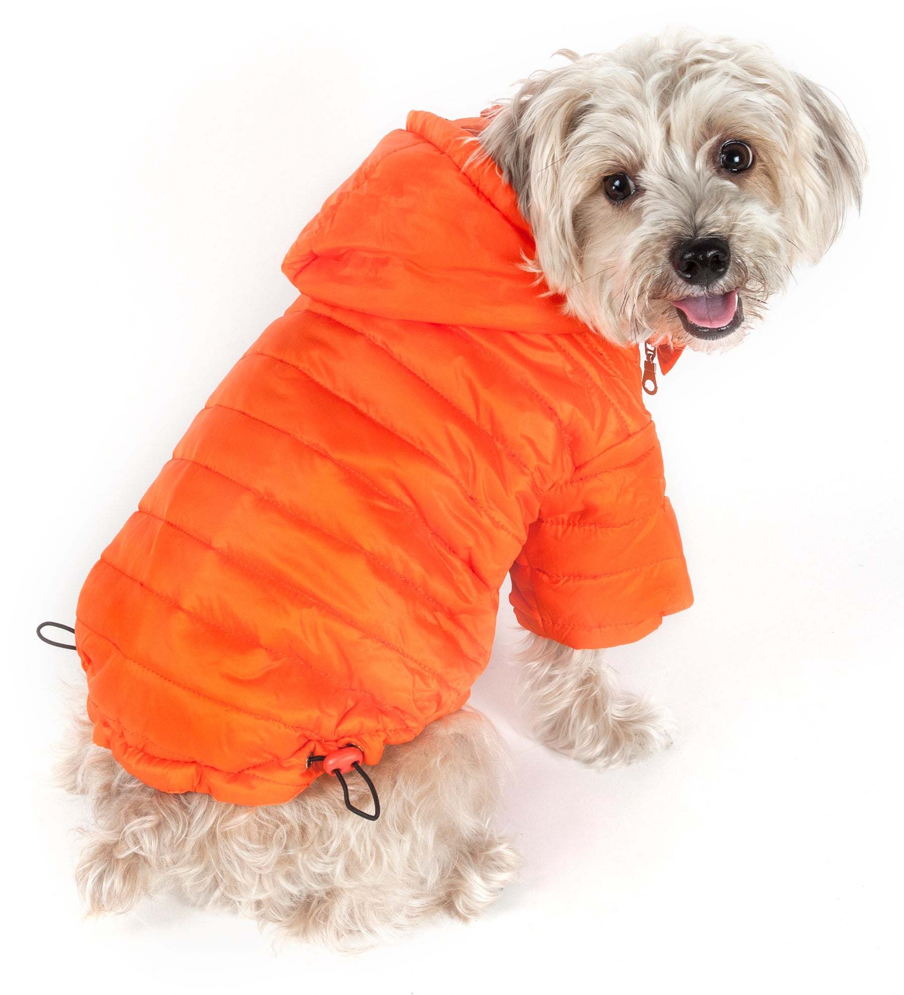 Lightweight Adjustable Sporty Avalanche Pet Coat