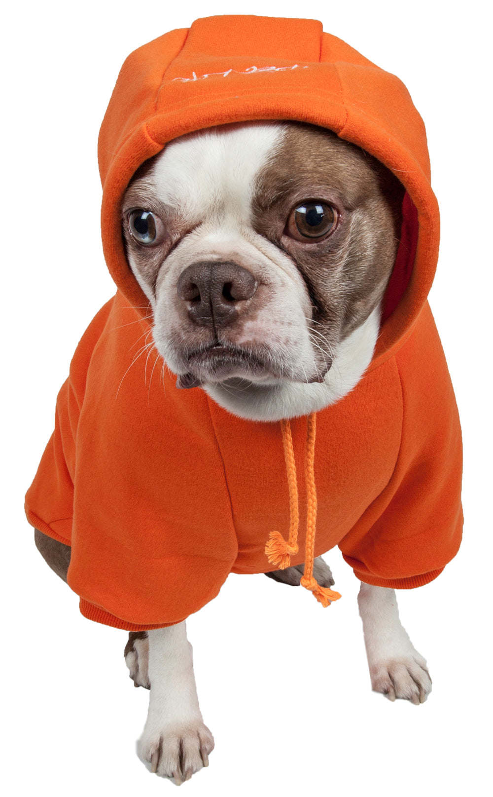 Fashion Plush Cotton Hoodie Pet Sweater