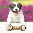 PawsPlay Cotton Rope Toy Set