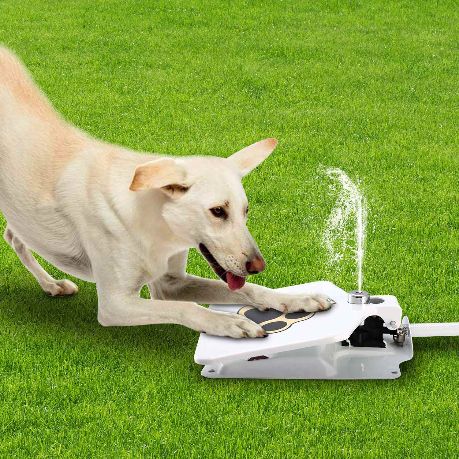 Paw Sprout Step-On Pet Water Fountain